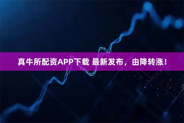 真牛所配资APP下载 最新发布,由降转涨!