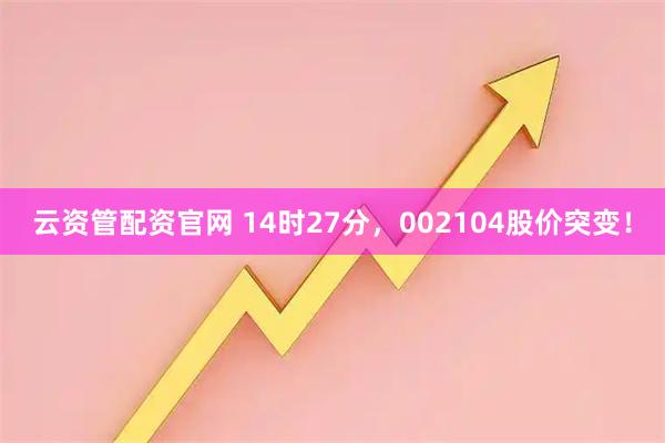 云资管配资官网 14时27分,002104股价突变!