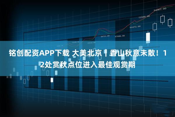 铭创配资APP下载 大美北京|香山秋意未散!12处赏秋点位进入最佳观赏期