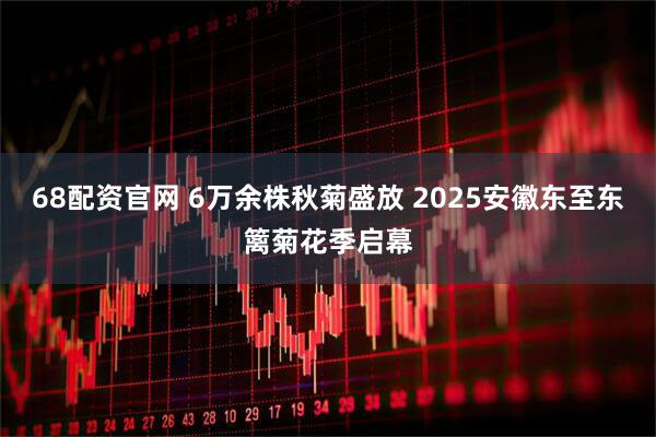 68配资官网 6万余株秋菊盛放 2025安徽东至东篱菊花季启幕